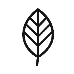 Guava Leaf Juice Bar